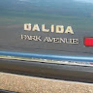 Meet your Posher, Gat valeriano